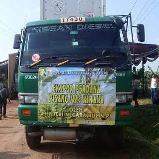 Dahlan Ingin RI Jadi Eksportir Buah Tropis Terbesar Dunia