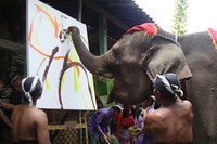 5 Gajah yang Berprofesi sebagai Pelukis