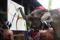 5 Gajah yang Berprofesi sebagai Pelukis