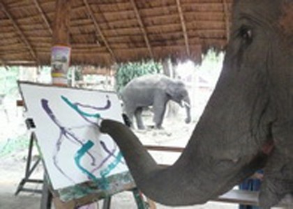 5 Gajah yang Berprofesi sebagai Pelukis