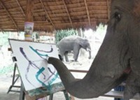 5 Gajah yang Berprofesi sebagai Pelukis 5 Gajah yang Berprofesi sebagai Pelukis