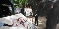 5 Gajah yang Berprofesi sebagai Pelukis