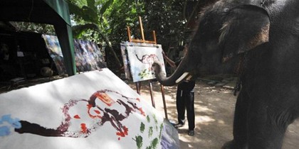 5 Gajah yang Berprofesi sebagai Pelukis 5 Gajah yang Berprofesi sebagai Pelukis