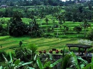 Ini Dia 25 Hotel dengan Pelayanan Terbaik di Indonesia