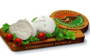 Polisi Italia Tangkap Pemalsu Buffalo Mozarella