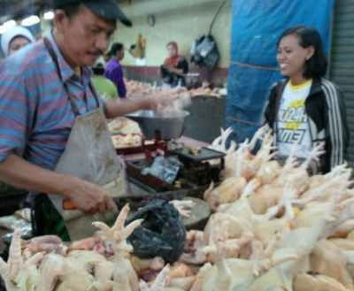 Harga Ayam di Surabaya Naik, Mengapa?