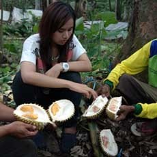 Harapan Pedagang Durian Merah di Banyuwangi kepada Bupati Anas