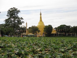 Pagoda Emas di Taman Alam Lumbini yang Ramai Saat Waisak