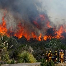1 Orang Tewas, 125 Ribu Warga California Mengungsi akibat Kebakaran