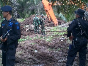 Sempat Ada Perlawanan dalam Pembongkaran Kebun Sawit Ilegal di TNTN Riau