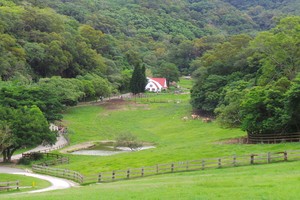 Flying Cow Ranch, Ketika Amerika Pindah ke Taiwan