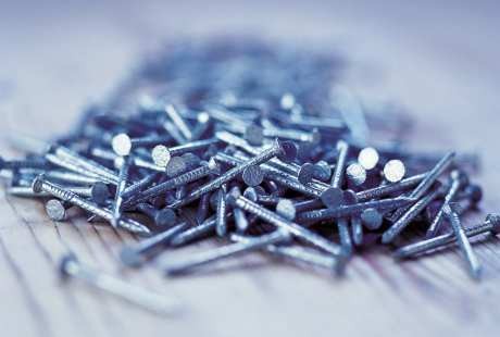 Bagi Pria Ini, Paku yang Masih Baru Rasanya Seperti Saus Salad