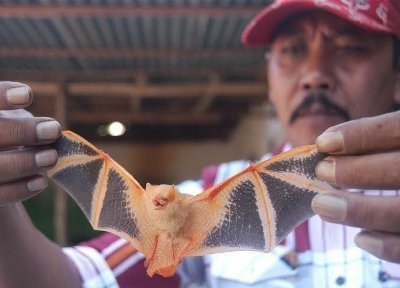 Hewan Langka dan Unik yang Bikin Gempar Wisatawan
