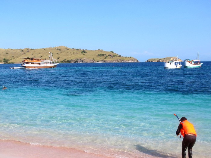 Saat Snorkeling, Perhatikan 4 Hal Terkait Lingkungan