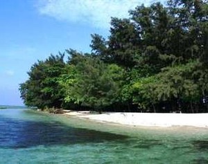 4 Tempat Snorkeling Keren di Kepulauan Seribu