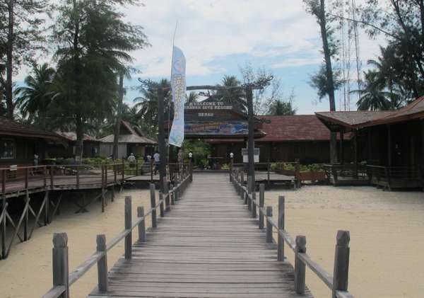 4 Tempat di Derawan untuk Libur Panjang yang Puas