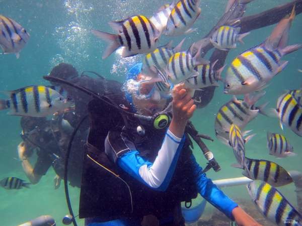 10 Tempat Snorkeling Favorit di Indonesia (1)