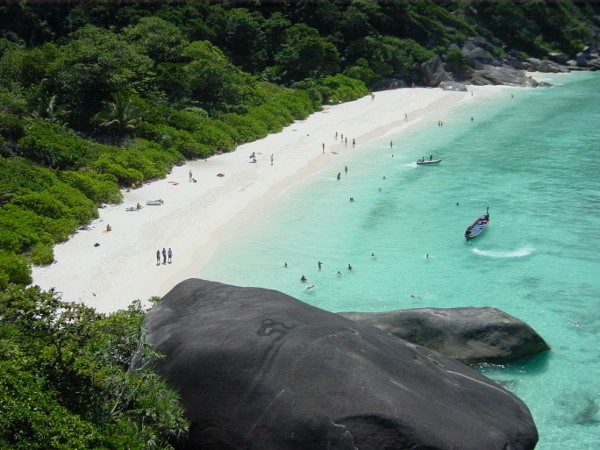 Phi Phi Island & 5 Spot Snorkeling Paling Top di Thailand