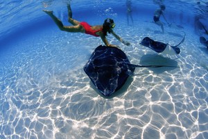 8 Destinasi Snorkeling Terbaik di Dunia (2)
