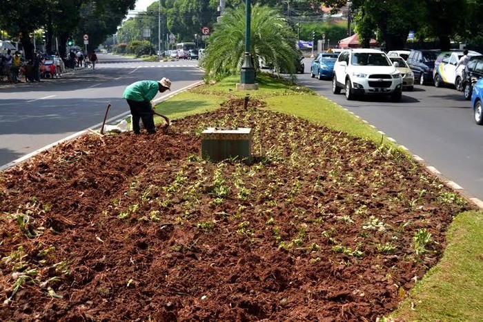 Pasca Dirusak Massa Capres Cawapres, Taman di Depan KPU Mulai Diperbaiki