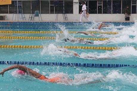 Tiga Atlet Pelatnas Asian Games Dominasi Kejurnas Renang