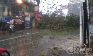 Hujan Deras di Depok, Pohon Tumbang Tutup Jalan Akses UI