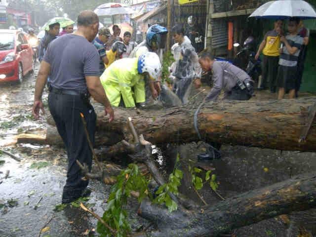 Pohon Tumbang di Jl Akses UI Ditangani Polisi dan Warga
