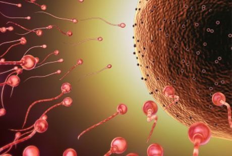 Turun Berok Bisa Bikin Sperma Keok?