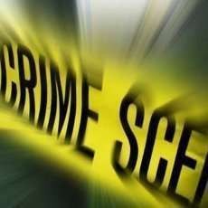 Pembunuh WN Inggris di Bali Tukang Kuli Bangunan