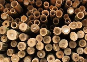 Manfaat Bambu di Dunia Otomotif