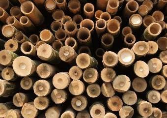 Manfaat Bambu di Dunia Otomotif