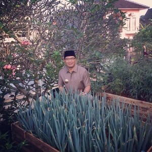 Seperti ini Urban Farming Ala Ridwan Kamil, Warga Bandung Diminta Meniru