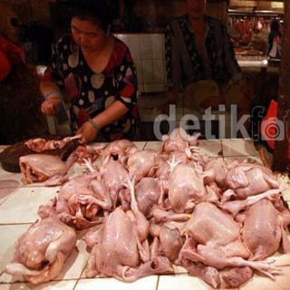 Ini Penyebab Harga Ayam di Jakarta Tembus Rp 40.000/Ekor