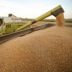 Waspada! Lonjakan Harga Pangan di Bulan Juli