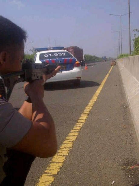 Sapi-sapi yang Lepas di KM 56 Tol JORR Akhirnya Ditembak Polisi