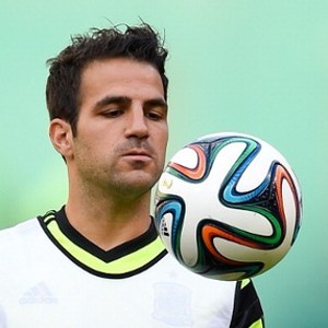 Torres: Fabregas Pemain yang Dibutuhkan Chelsea