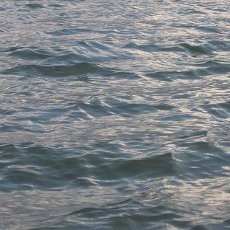 Asyik Foto-foto di Tepi Sungai, 24 Mahasiswa India Hanyut Terbawa Arus