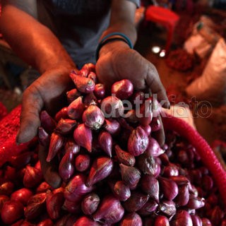 Ini Penyebab Harga Bawang Merah Rawan Melonjak
