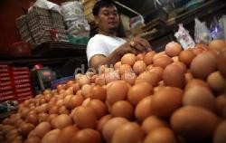 Harga Naik Tak Normal, Pasokan Telur dan Daging Ayam Cukup Sampai Akhir 2014