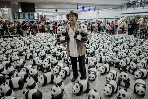 1.600 Boneka Panda Serbu Traveler di Bandara Hong Kong