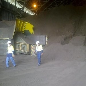 Dilarang Ekspor, Ini Tumpukan Tambang Emas dan Tembaga di Gudang Newmont