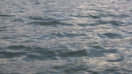 Berniat Kabur dari Kuba Secara Ilegal, 4 Orang Tewas