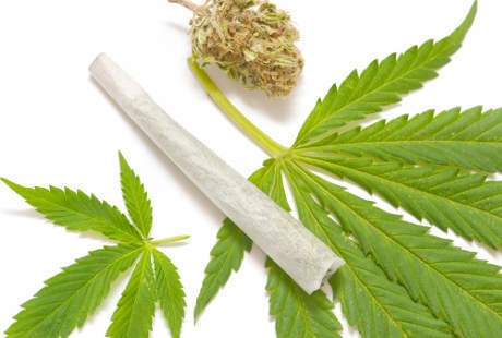 Gara-gara Ganja, Bentuk Sperma Bisa Berubah