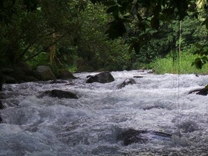 Cara Beda Menikmati Bali, Rafting Di Sobek Telaga Waja