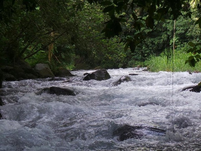 Cara Beda Menikmati Bali, Rafting Di Sobek Telaga Waja