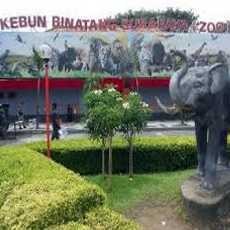 Bahas KBS, Perhimpunan Kebun Binatang Se-Indonesia Ingin Bertemu Risma