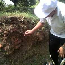 Situs Klinterejo di Mojokerto yang Puluhan Tahun Terbengkalai
