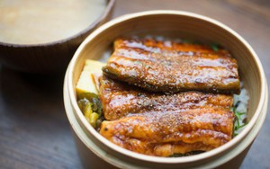 Unagi Jepang Resmi Dimasukkan Dalam Daftar Hewan Terancam Punah