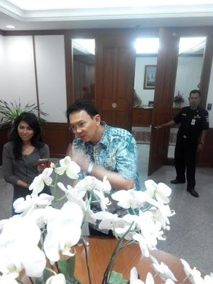 Dorong Ekonomi Kreatif, Ahok Ingin Hidupkan Layar Tancap di Kampung