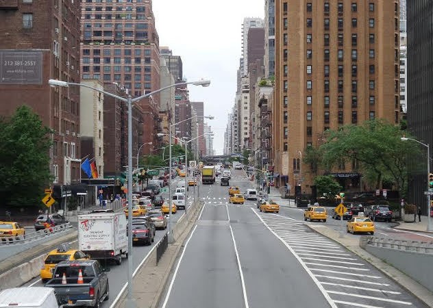 Petualangan Seru di Hutan Beton New York City